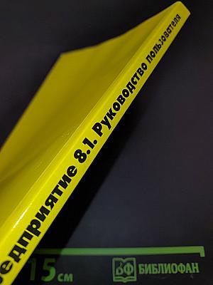 1С:Предприятие 8.1. Руководство пользователя