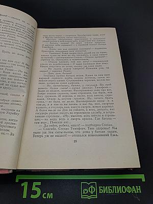 Степан Разин. Книга вторая
