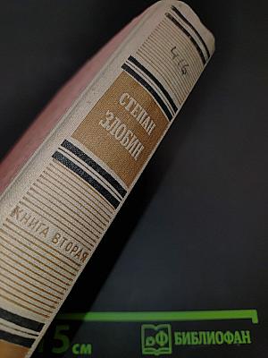 Степан Разин. Книга вторая
