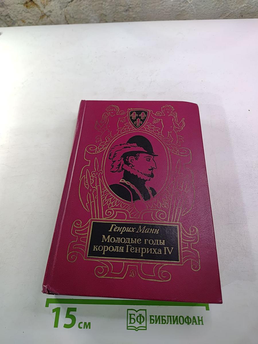 Молодые годы короля Генриха IV