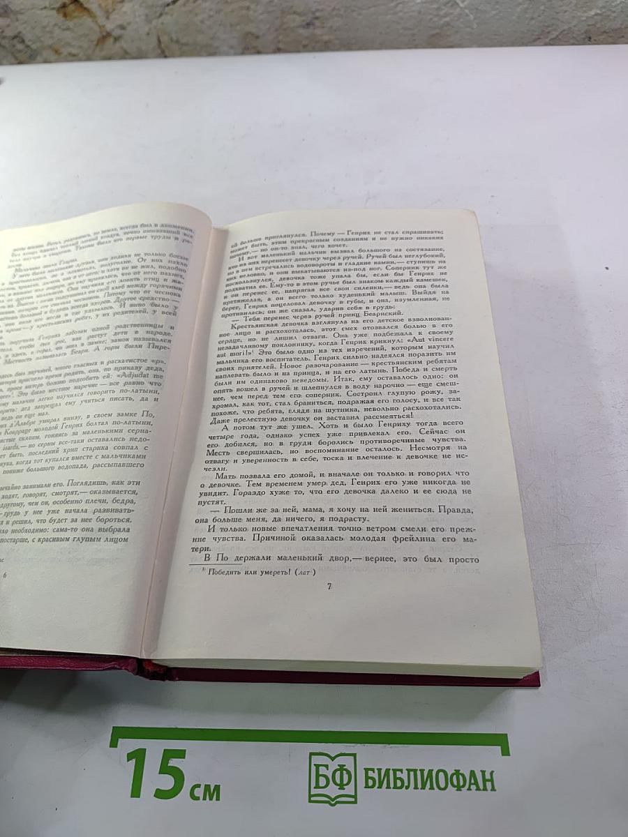 Молодые годы короля Генриха IV