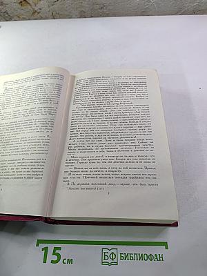 Молодые годы короля Генриха IV