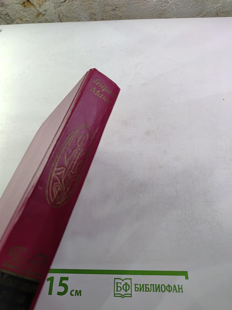 Молодые годы короля Генриха IV