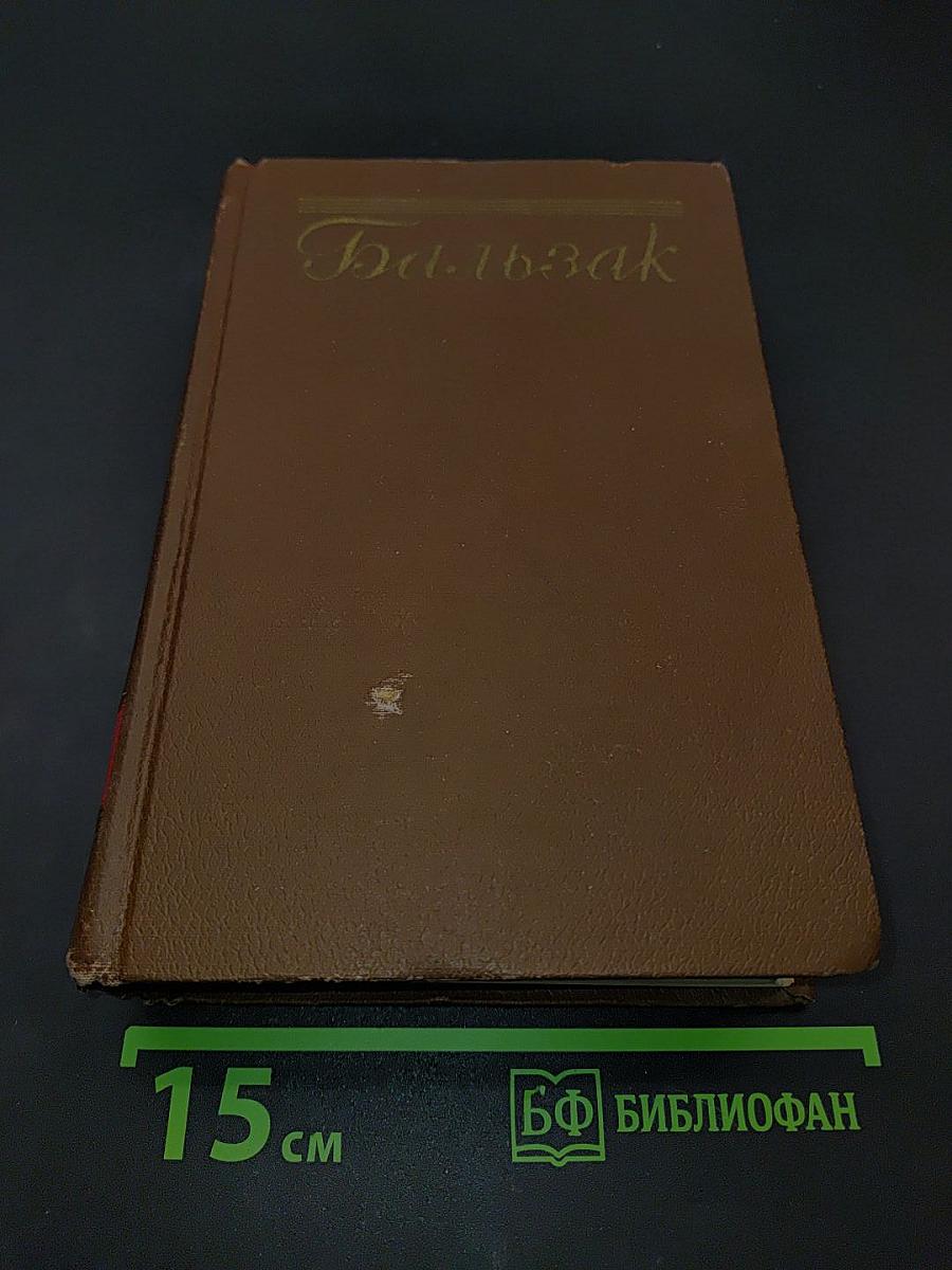 Человеческая комедия. Сцены парижской жизни. Том 10