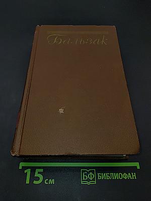 Человеческая комедия. Сцены парижской жизни. Том 10