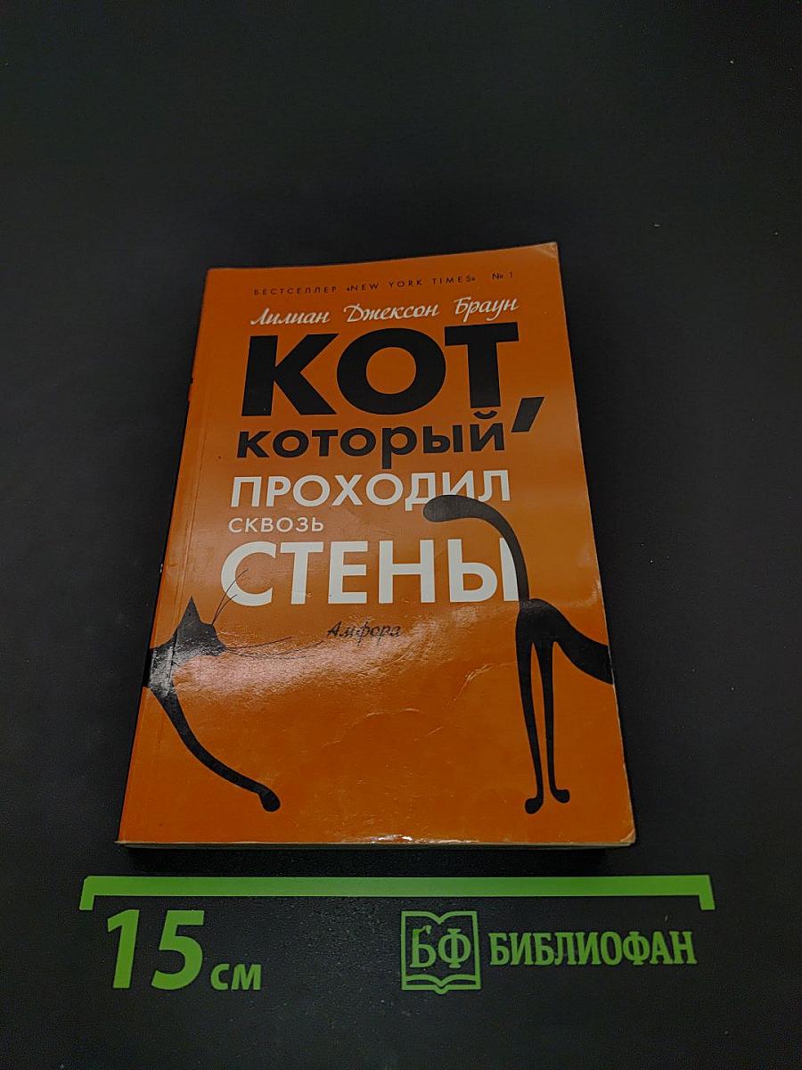 Кот, который проходил сквозь стены