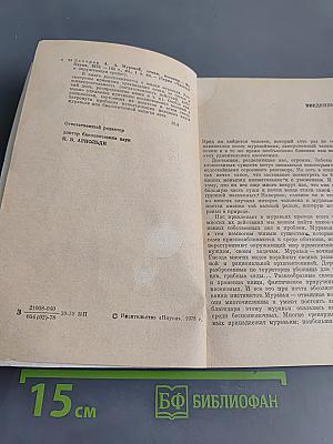 Муравей, семья, колония