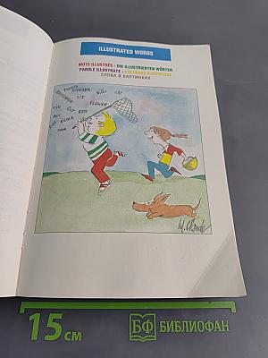 EURODICO JUNIOR: Иллюстрированный словарь для юных европейцев