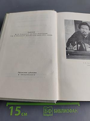 Собрание сочинений. Том десятый. Из сибирских островов Сахалин, фельетоны, статьи, записные книжки, дневники 1882-1904