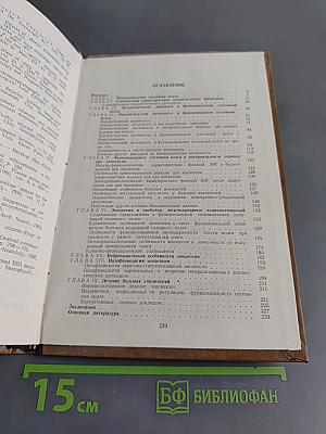 Эпилепсия и функциональные состояния мозга