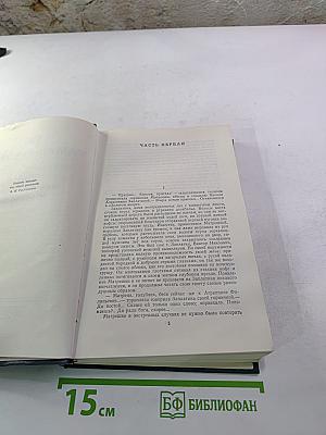 Приваловские миллионы. Том 2