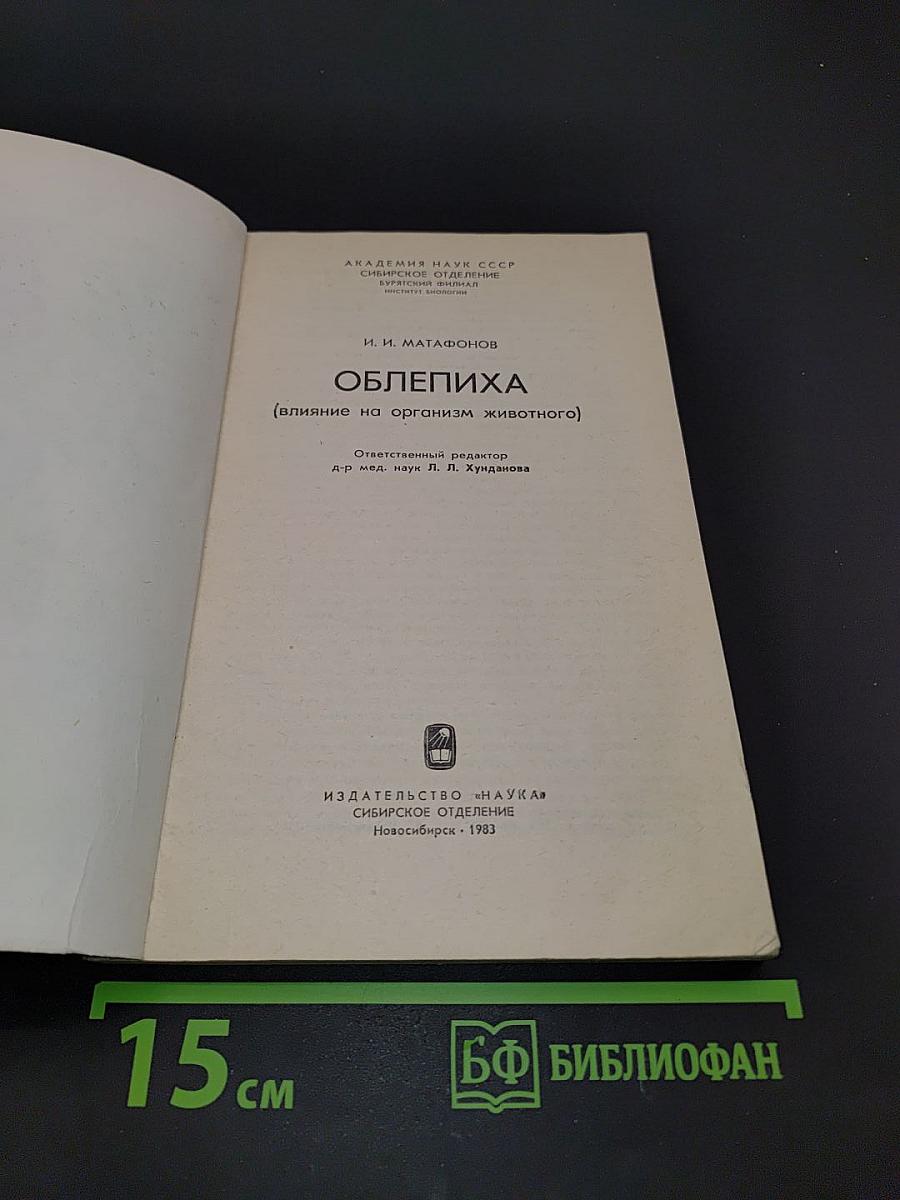 Облепиха