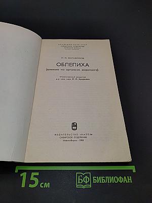 Облепиха