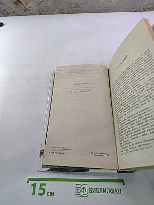 Звезды смотрят вниз