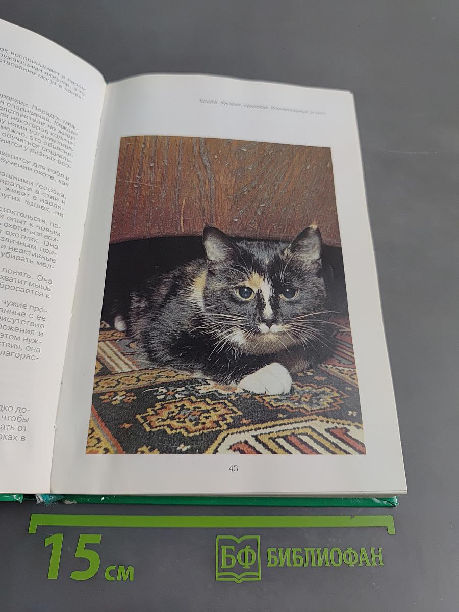 Кошки. Энциклопедия