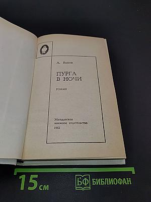 Пурга в ночи