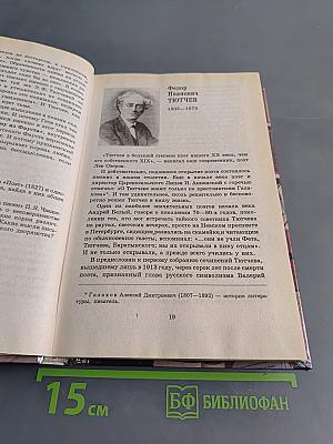 Литература. 10 класс. Часть I