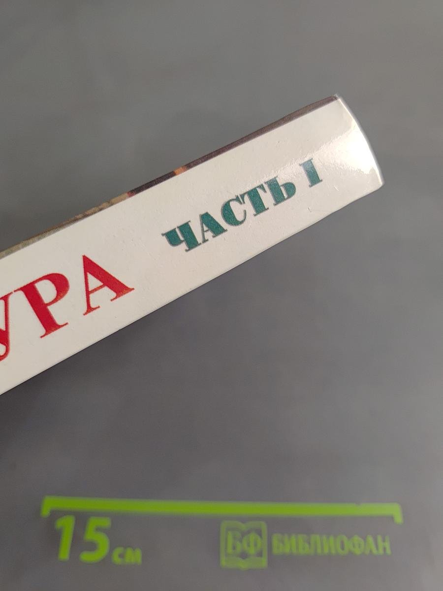 Литература. 10 класс. Часть I