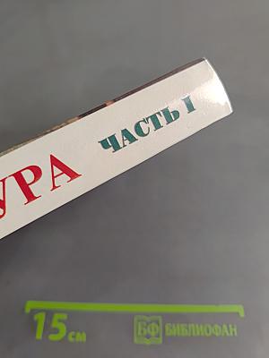 Литература. 10 класс. Часть I