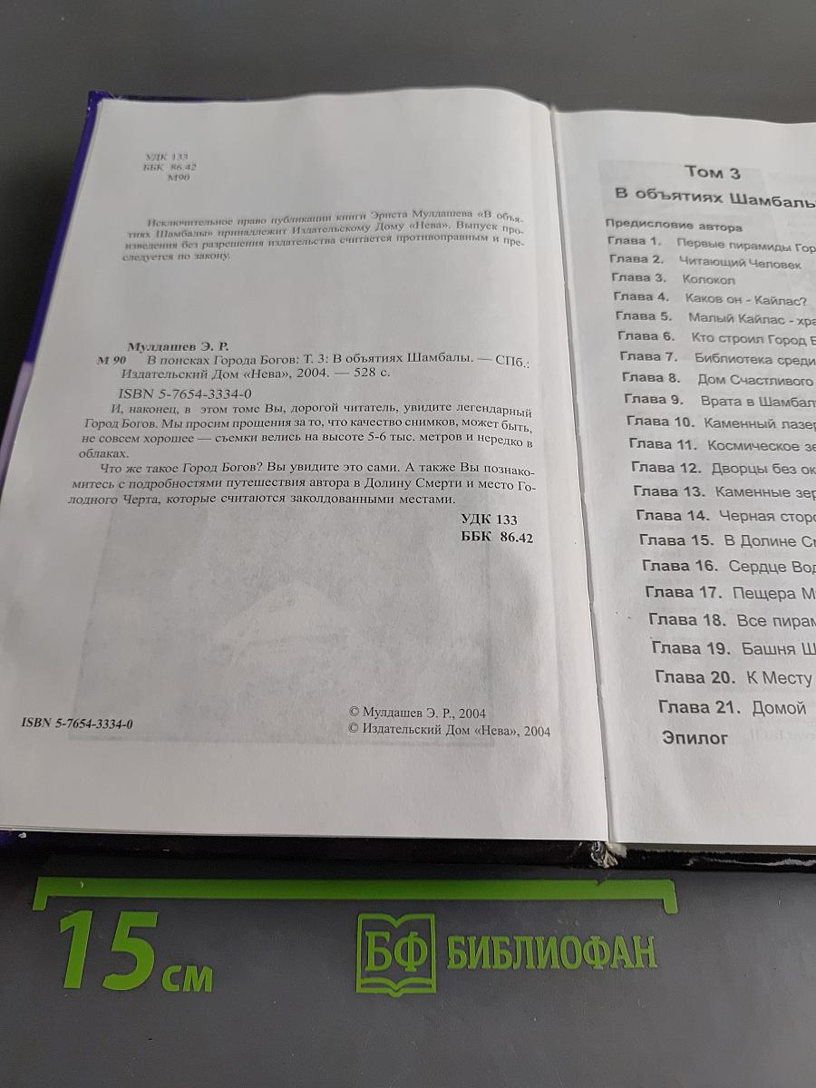 В поисках города богов. Том 3. В объятиях Шамбалы