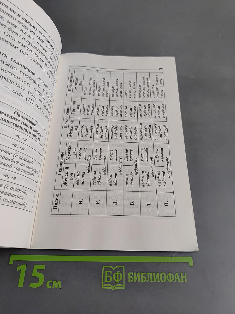 Правила русского языка. Словарь школьника