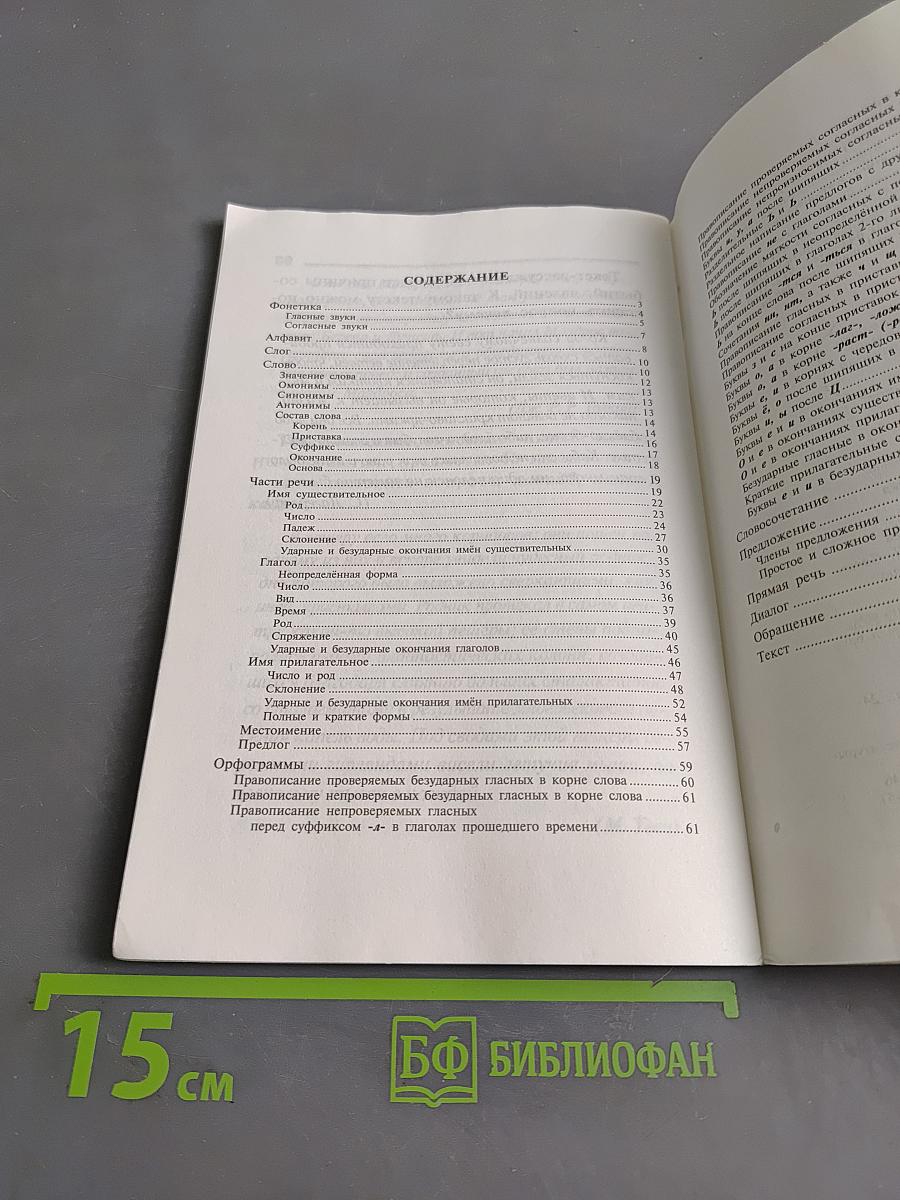 Правила русского языка. Словарь школьника