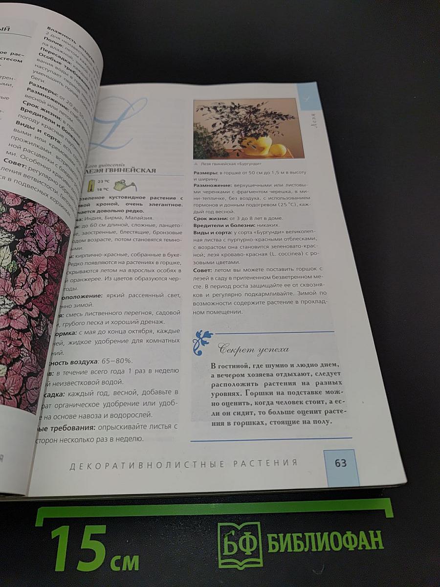Комнатные растения. Иллюстрированная энциклопедия