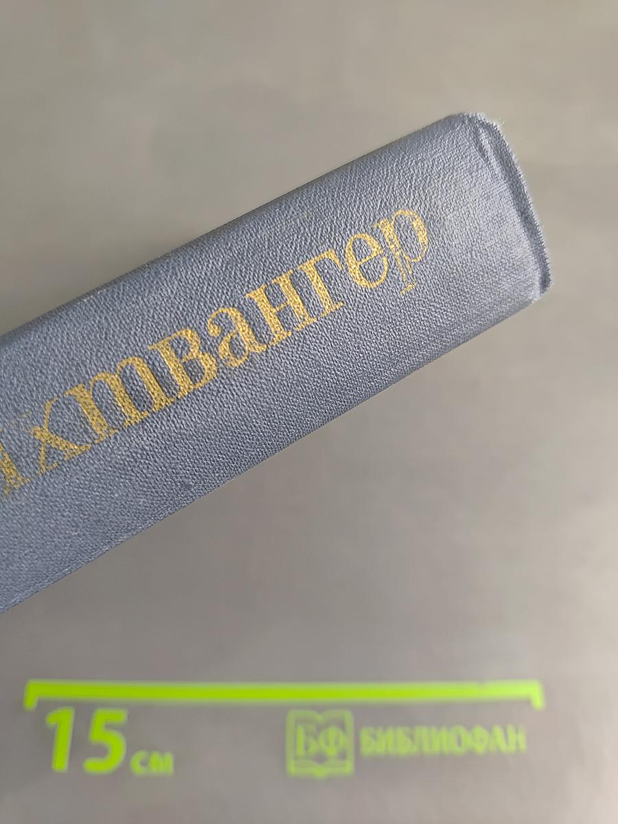 Безобразная Герцогиня. Семья Опперман