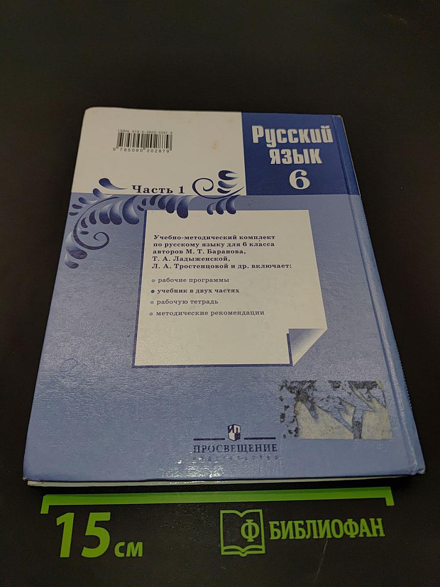 Русский язык. 6 класс. Часть 1