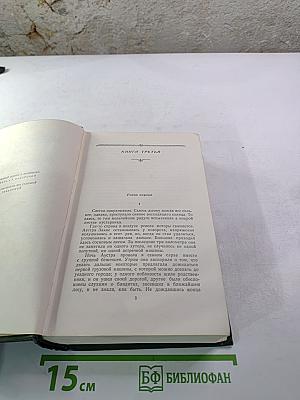 Собрание сочинений. Том четвертый. Буря. Часть вторая