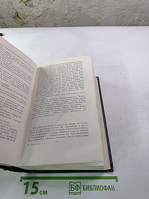 Собрание сочинений. Том четвертый. Буря. Часть вторая