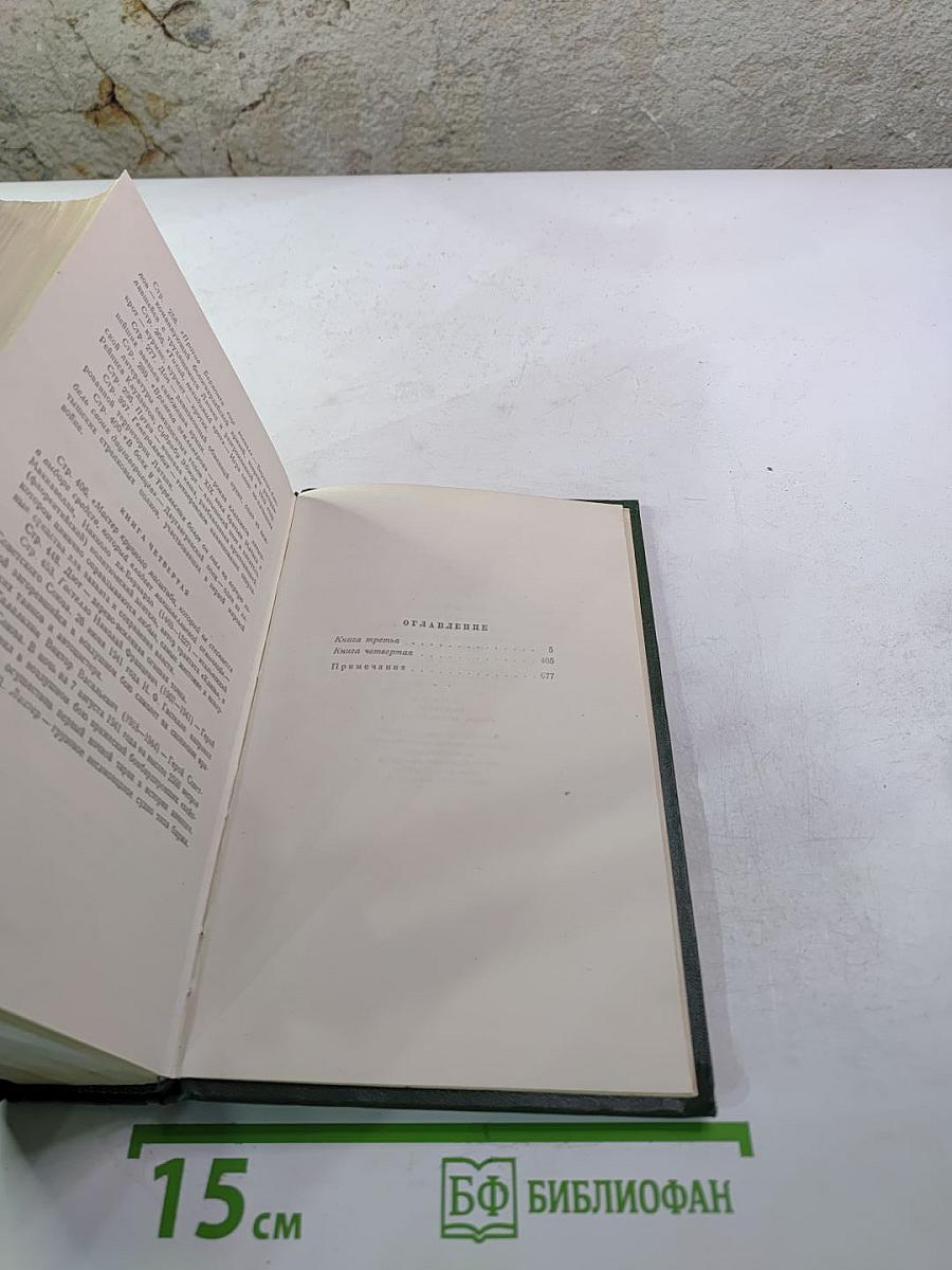 Собрание сочинений. Том четвертый. Буря. Часть вторая