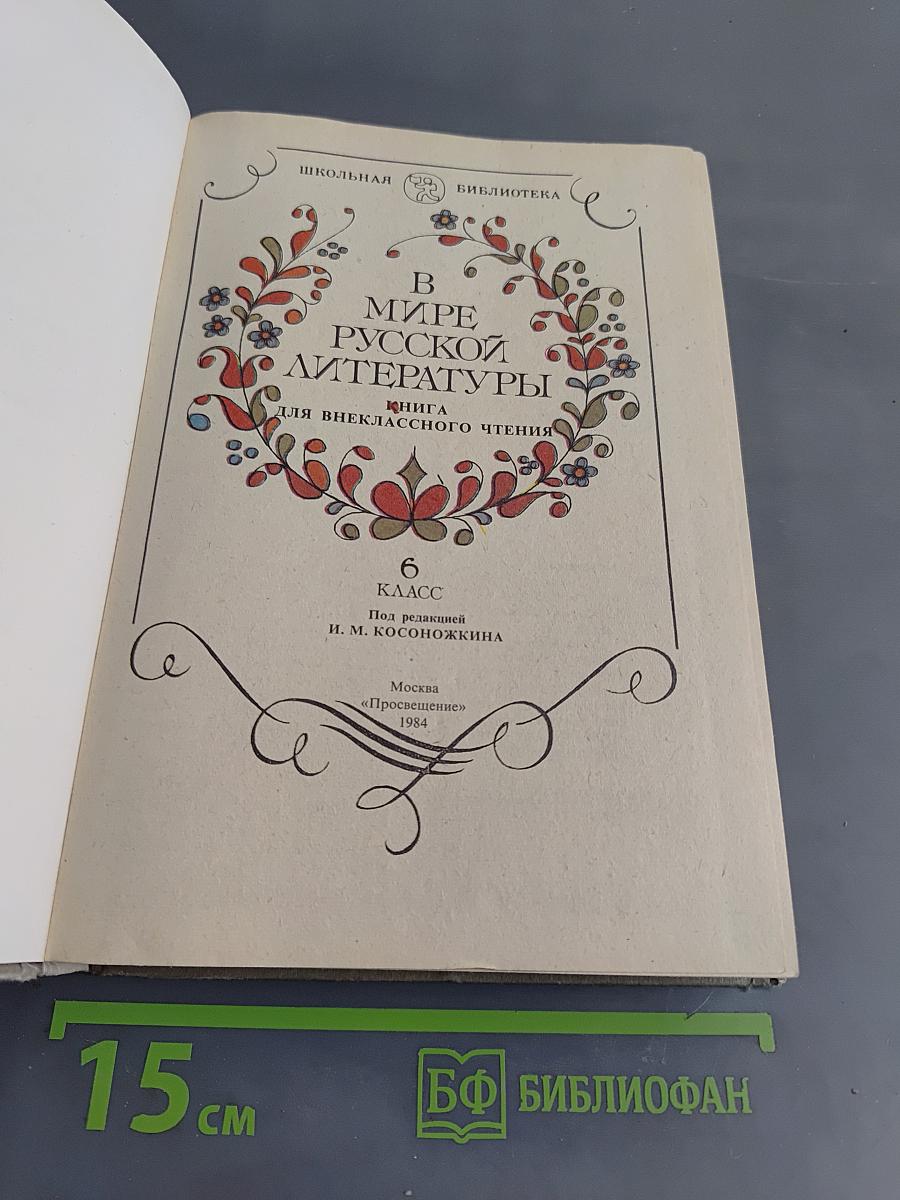 В мире русской литературы. Книга для внеклассного чтения. 6 класс