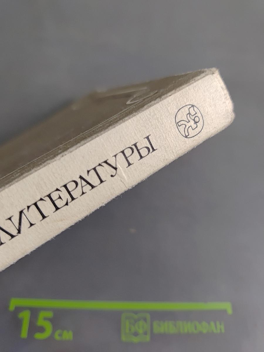 В мире русской литературы. Книга для внеклассного чтения. 6 класс
