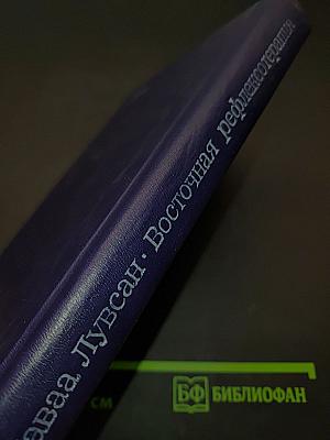Очерки методов восточной рефлексотерапии