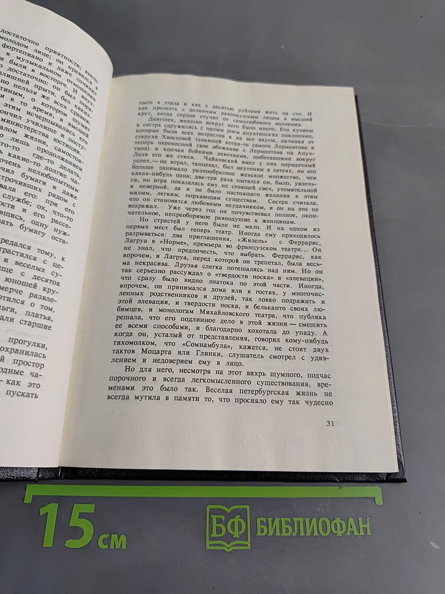 Чайковский. История одинокой жизни