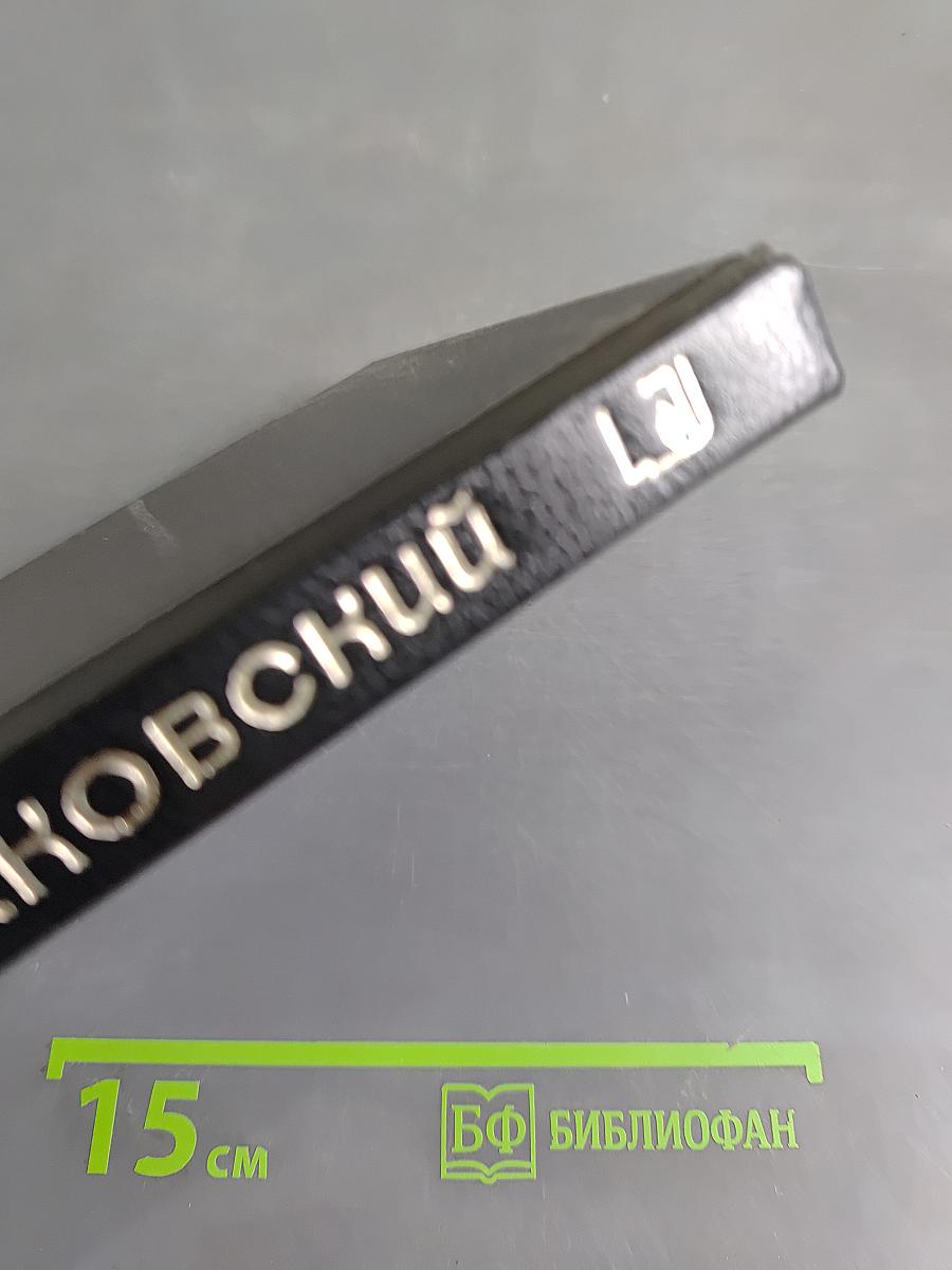 Чайковский. История одинокой жизни