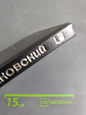 Чайковский. История одинокой жизни