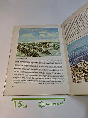 Мир океана