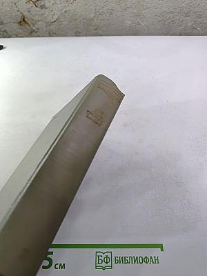 Собрание сочинений. Том седьмой. Повести и рассказы 1892-1895