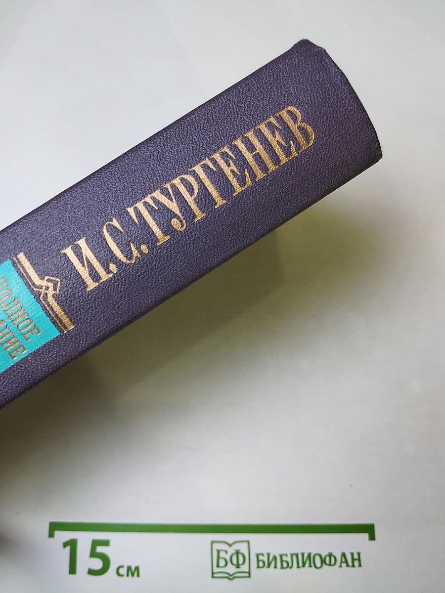 Повести и рассказы 1881-1883, Стихотворения в прозе 1878-1883, Произведения разных годов