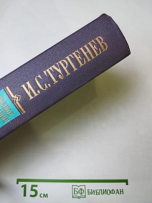 Повести и рассказы 1881-1883, Стихотворения в прозе 1878-1883, Произведения разных годов