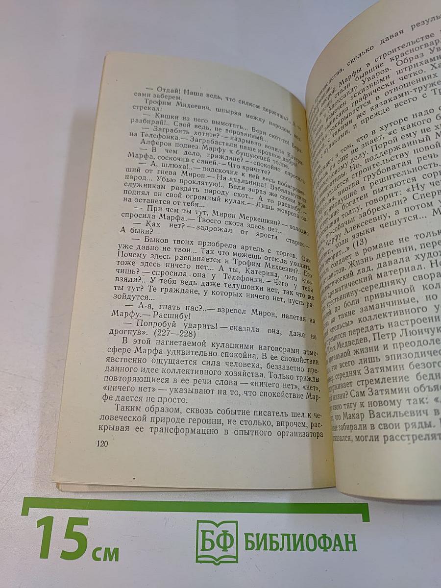 Творчество Д.И. Петрова (Бирюка)