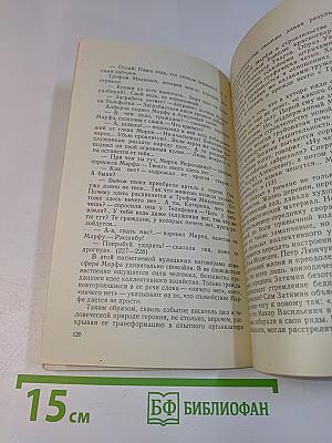 Творчество Д.И. Петрова (Бирюка)