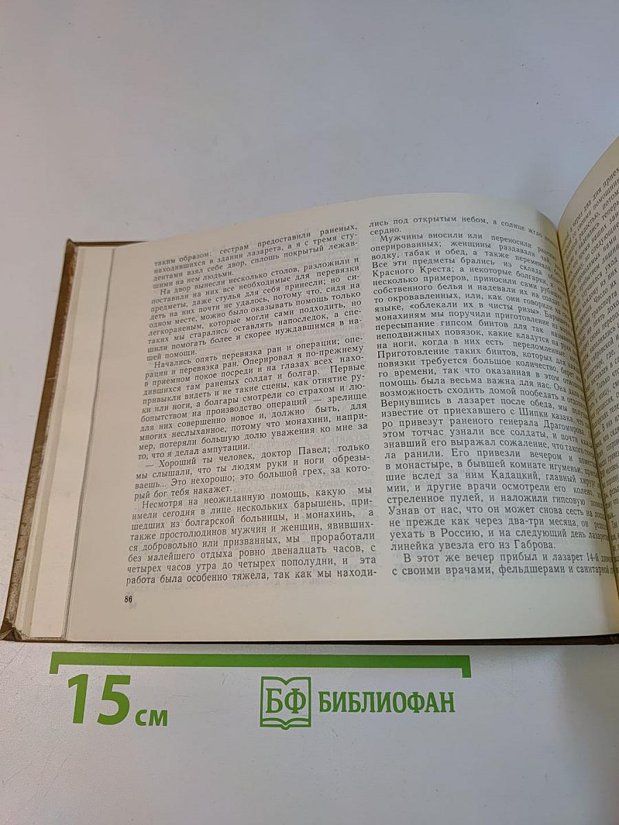 Заря заговорила