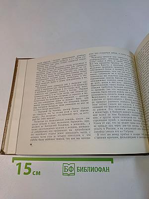 Заря заговорила