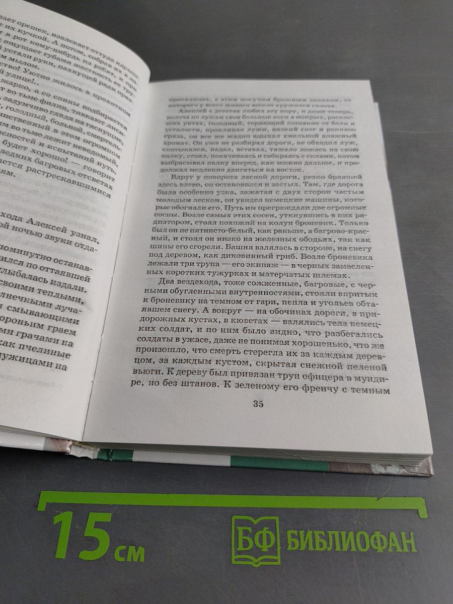 Повесть о настоящем человеке