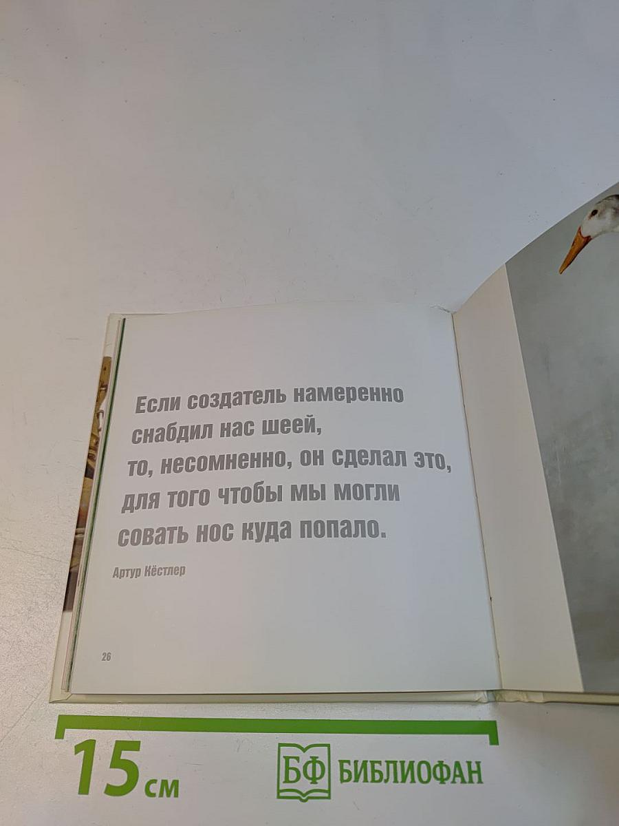 Жизнь – сложная штука