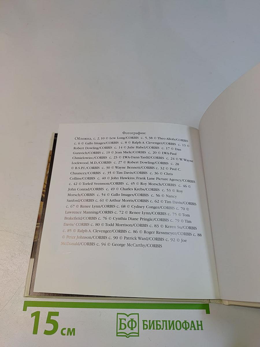 Жизнь – сложная штука