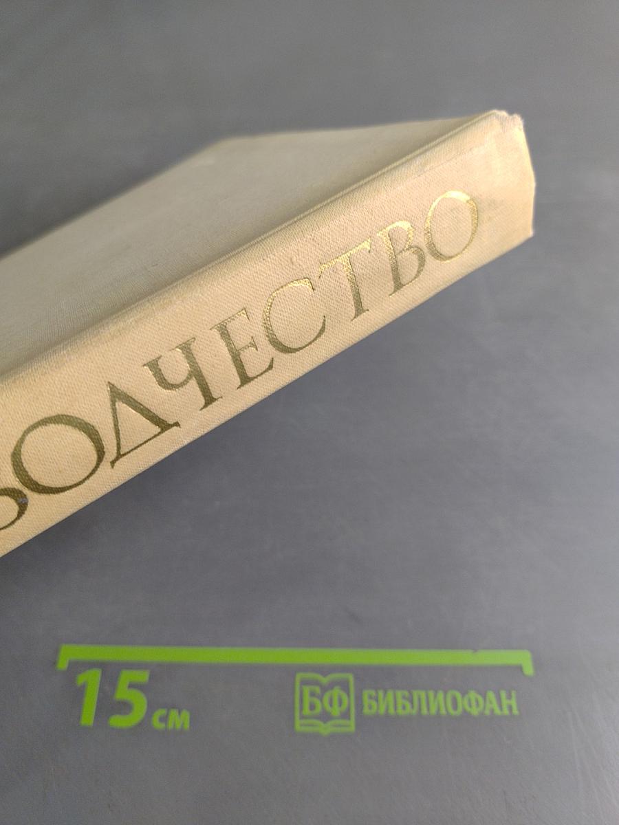 Зодчество